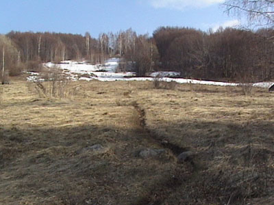DSC02531
