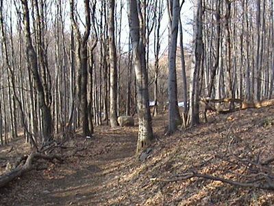 DSC02533