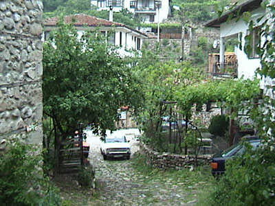 melnik24