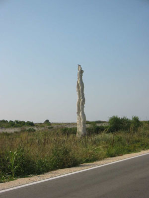 IMG_0064_