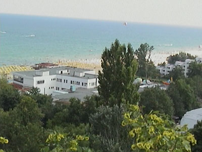 DSC03445