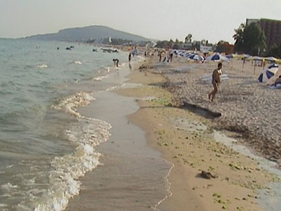 DSC03462